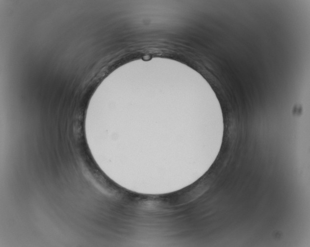 X0000113000408200910081203