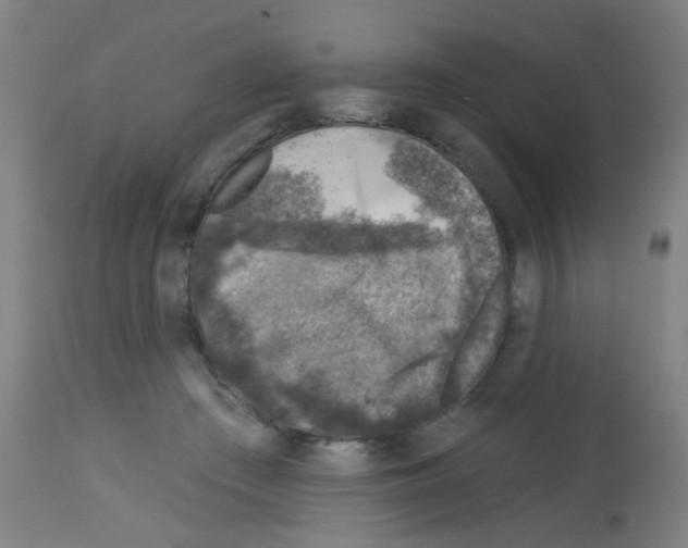 X0000113000409200910081203