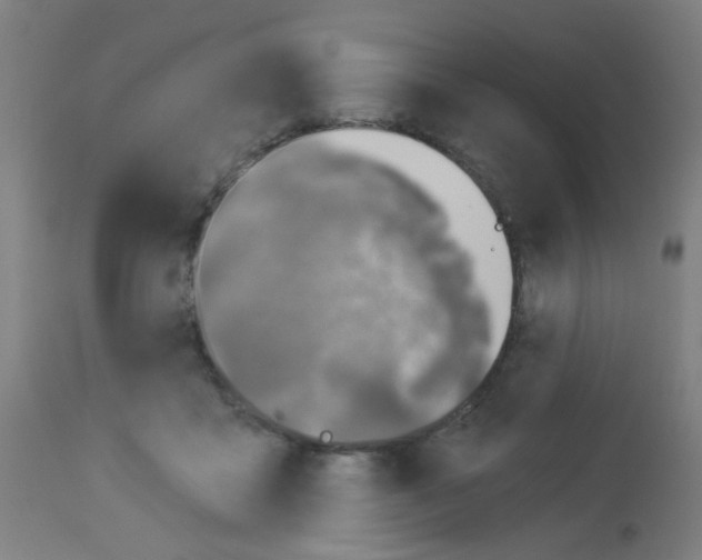 X0000113000411200910081203