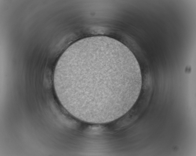 X0000113000414200910081203