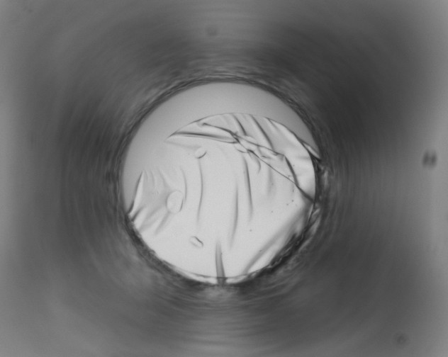 X0000113000415200910081203