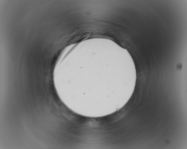 X0000113000416200910081203