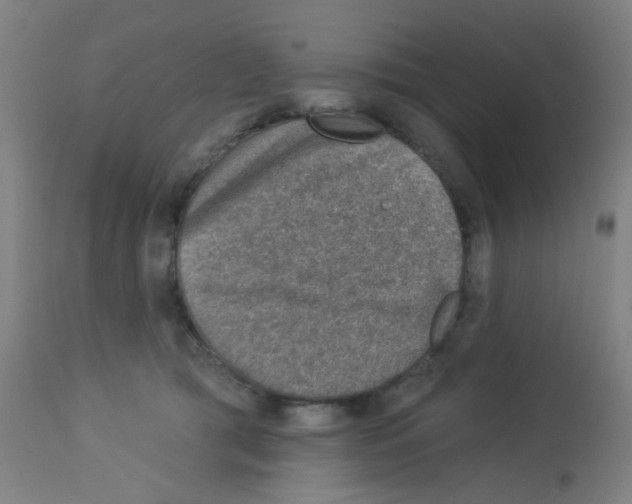 X0000113000417200910081203