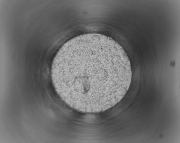 X0000113000418200910081203