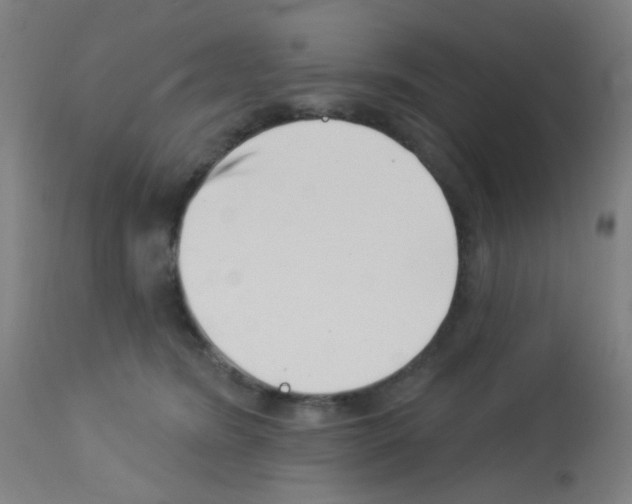 X0000113000420200910081203