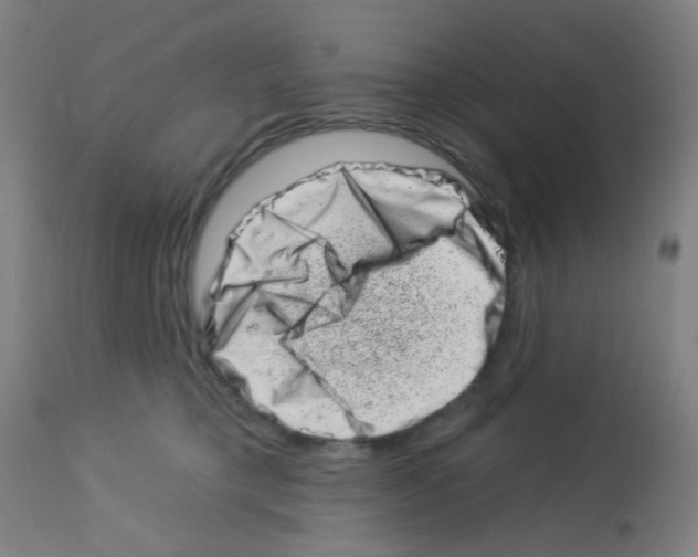 X0000113000421200910081203