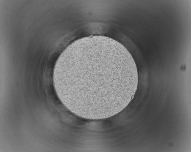 X0000113000422200910081203