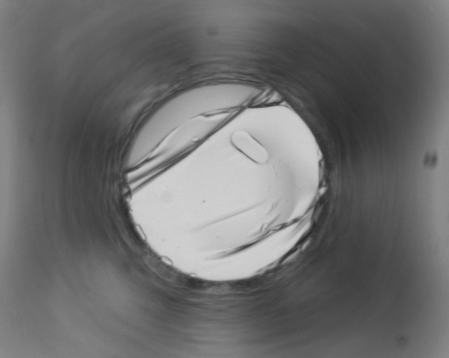 X0000113000423200910081203