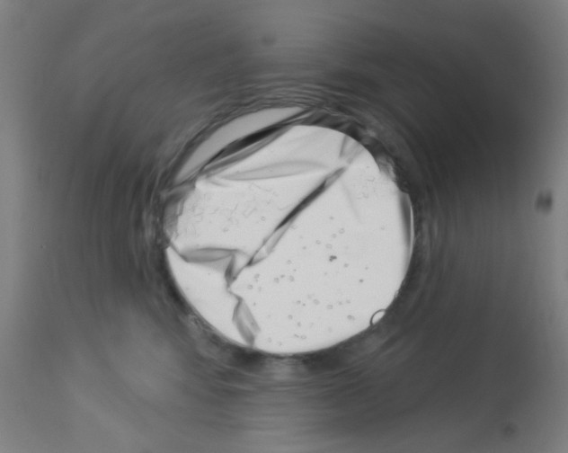 X0000113000424200910081203