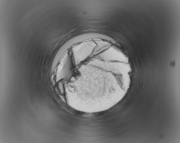 X0000113000425200910081203