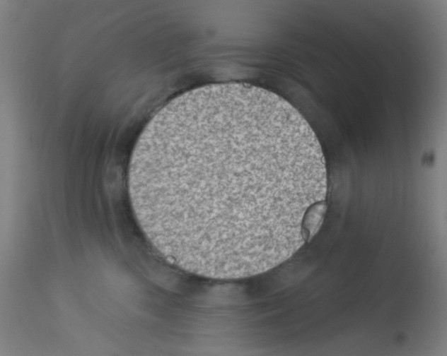 X0000113000426200910081203