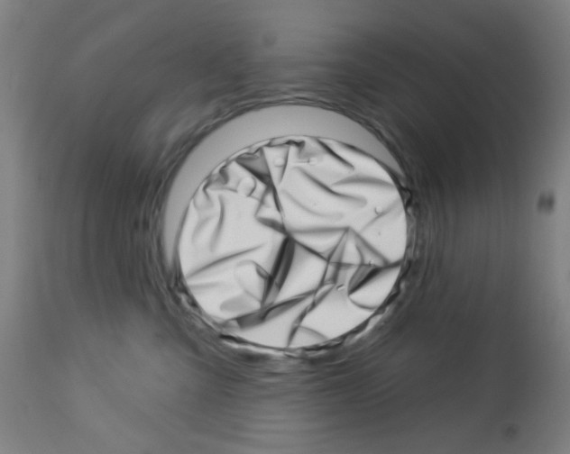 X0000113000427200910081203