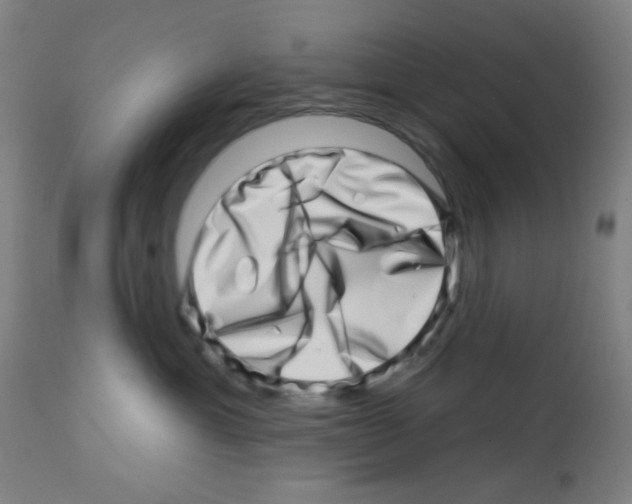 X0000113000429200910081203