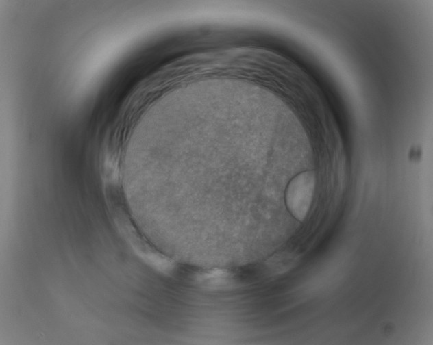 X0000113000431200910081202