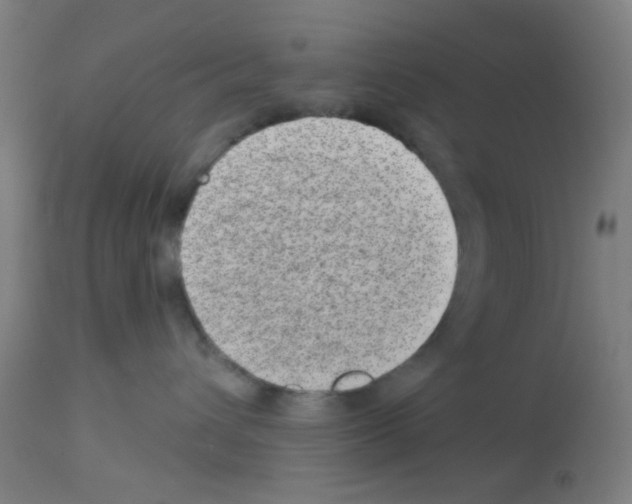 X0000113000432200910081202