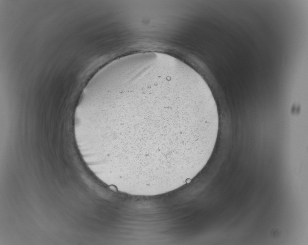 X0000113000433200910081202