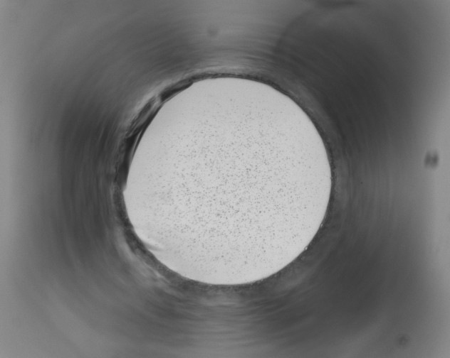 X0000113000434200910081202