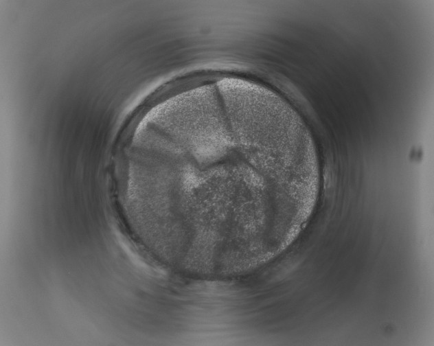 X0000113000436200910081202