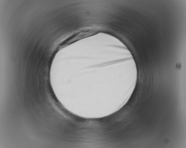 X0000113000437200910081202