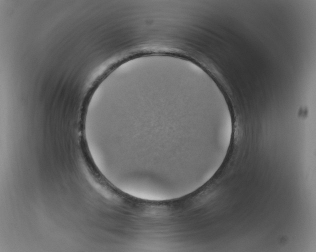 X0000113000438200910081202