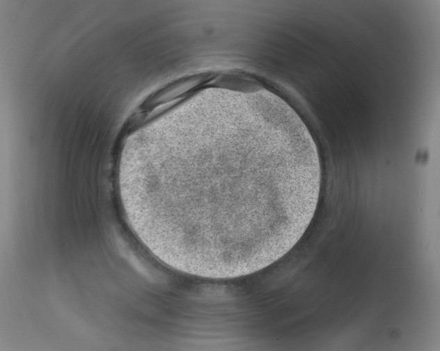 X0000113000439200910081202