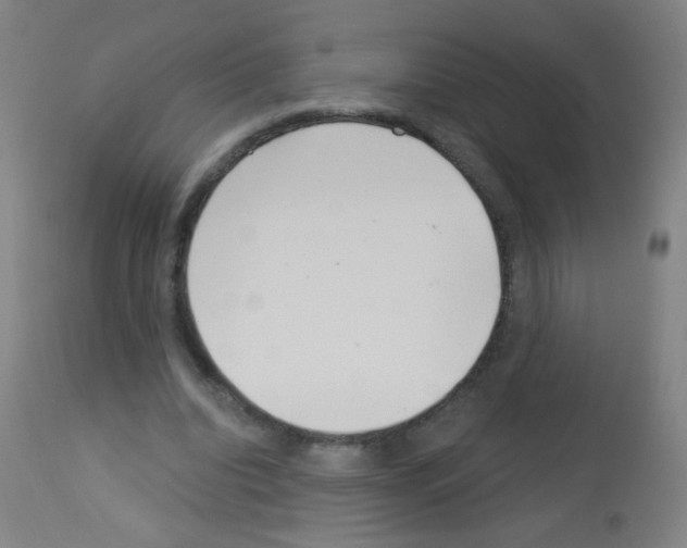 X0000113000440200910081202