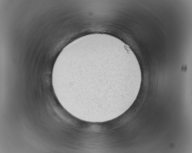 X0000113000441200910081202