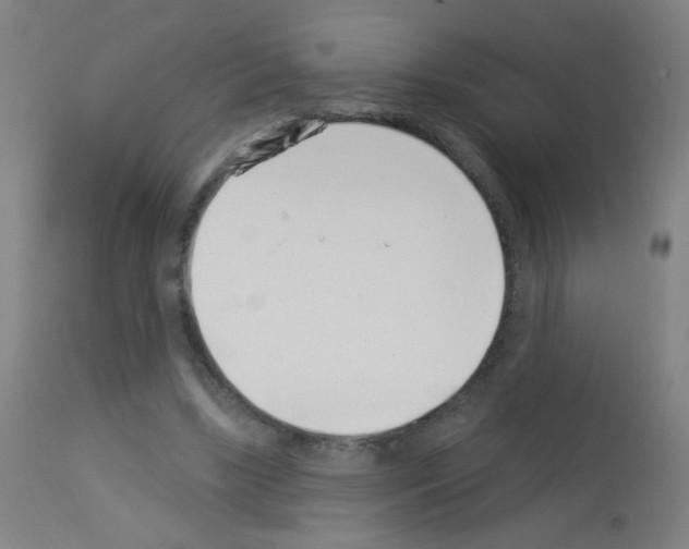 X0000113000443200910081202