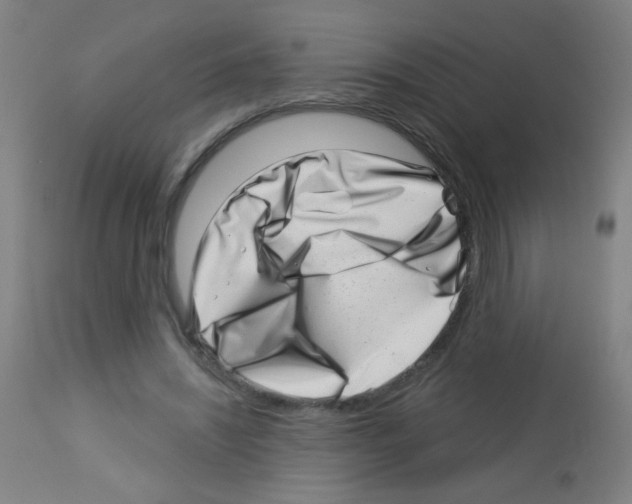 X0000113000444200910081202