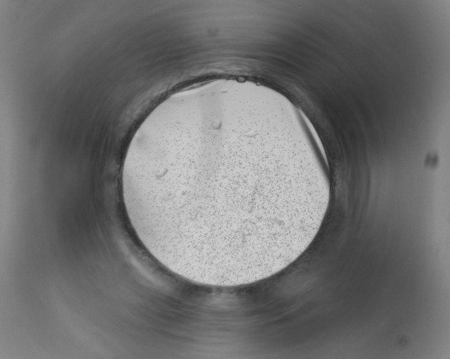 X0000113000445200910081202