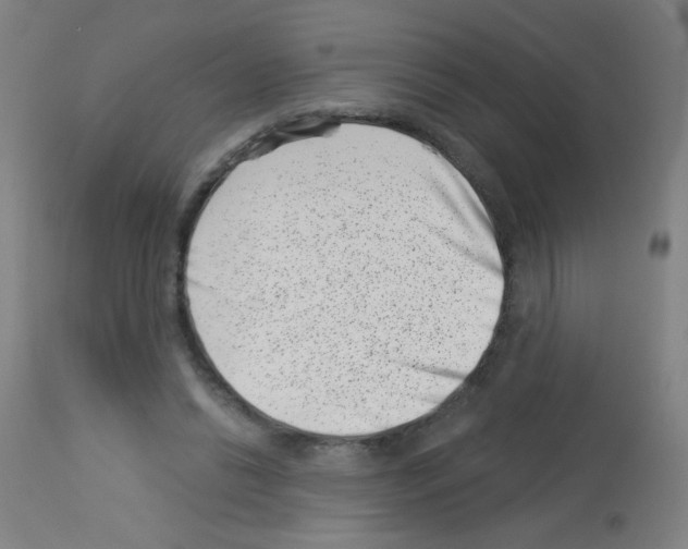 X0000113000446200910081202