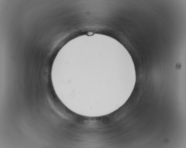 X0000113000448200910081202