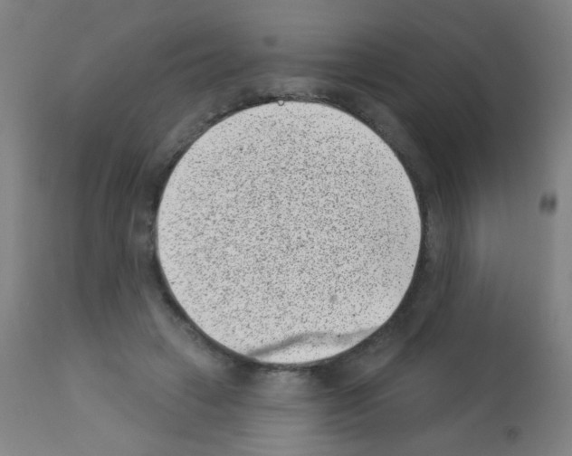 X0000113000449200910081202