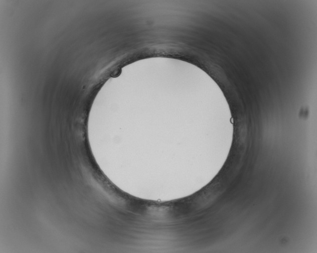 X0000113000450200910081202