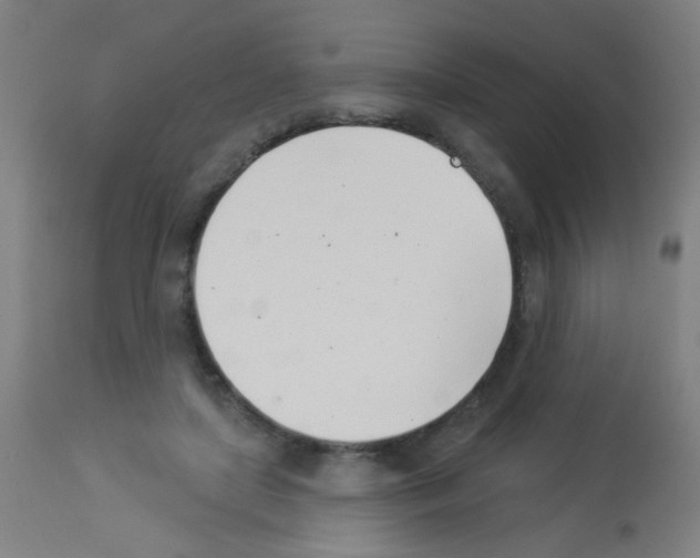 X0000113000451200910081202