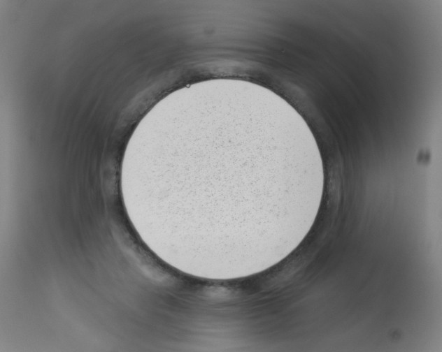 X0000113000453200910081202