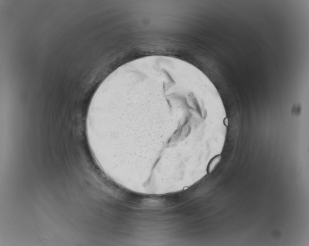 X0000113000457200910081202