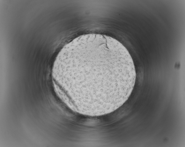 X0000113000458200910081202