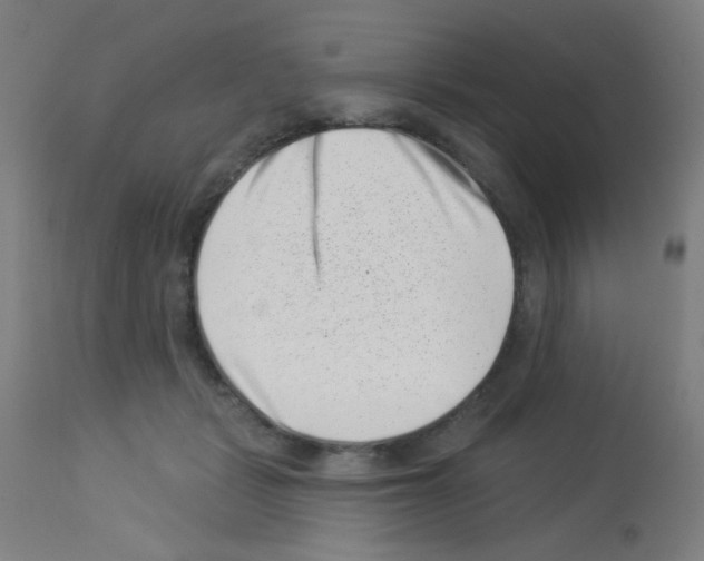 X0000113000461200910081202