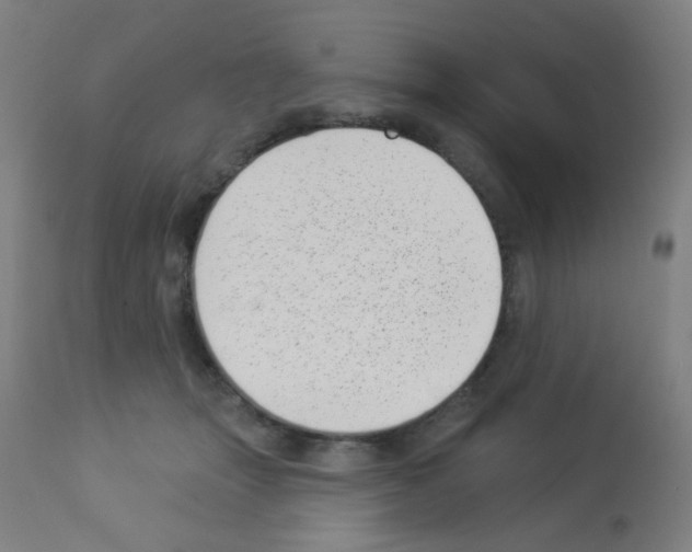 X0000113000463200910081202