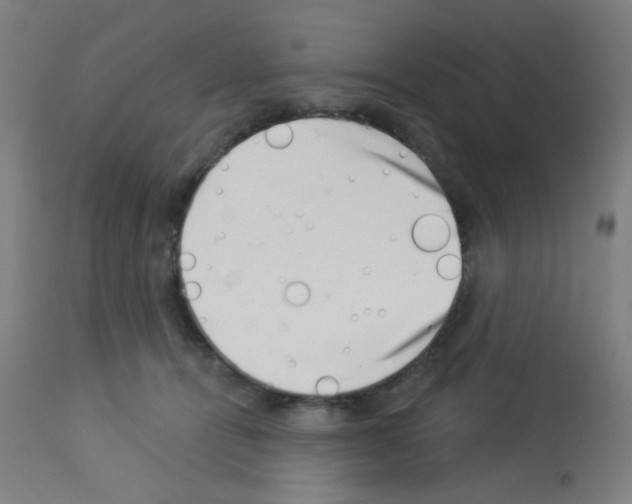 X0000113000464200910081202