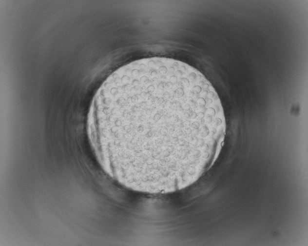 X0000113000466200910081202