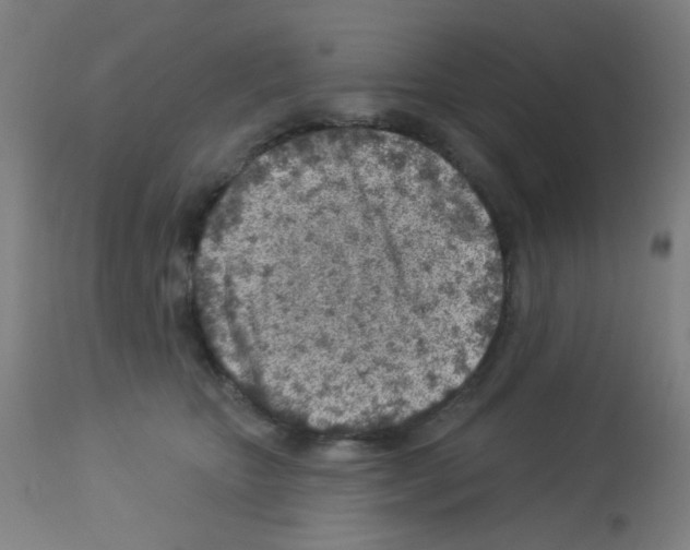 X0000113000467200910081202