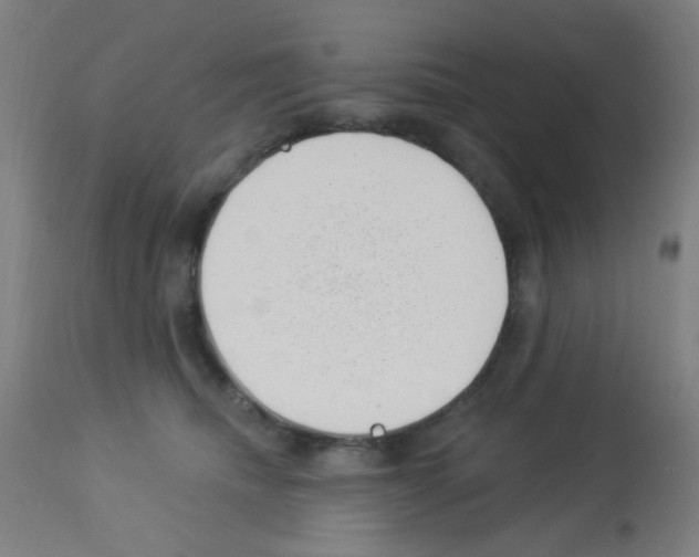 X0000113000468200910081202