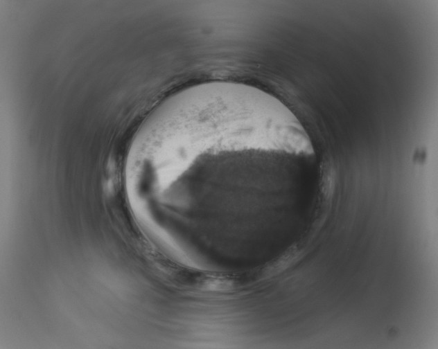 X0000113000471200910081202