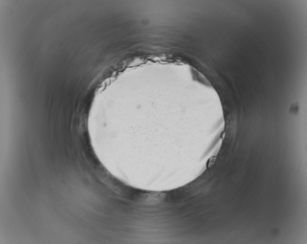 X0000113000474200910081202