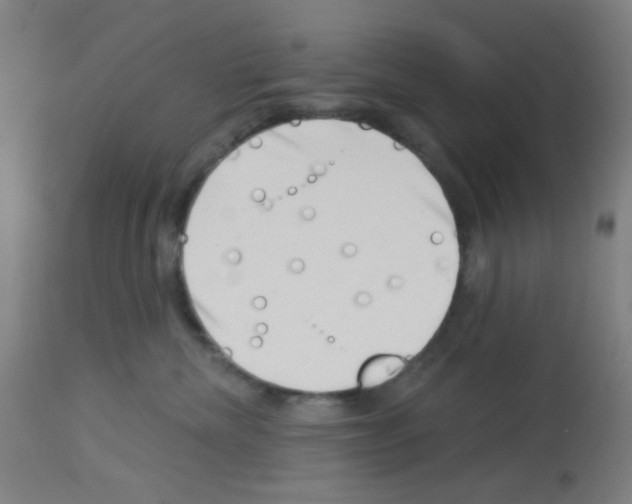 X0000113000476200910081202