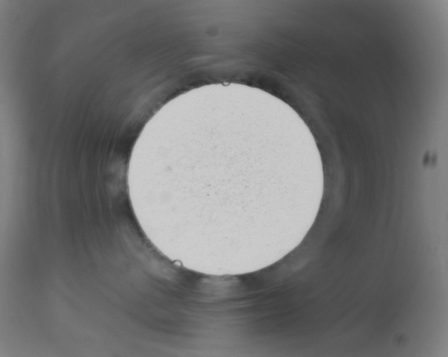 X0000113000480200910081202