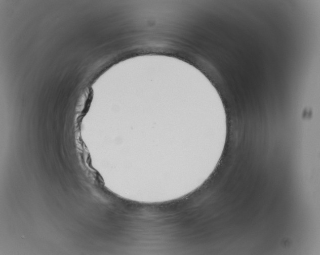 X0000113000481200910081202