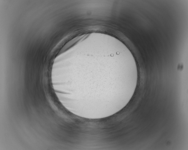 X0000113000482200910081202